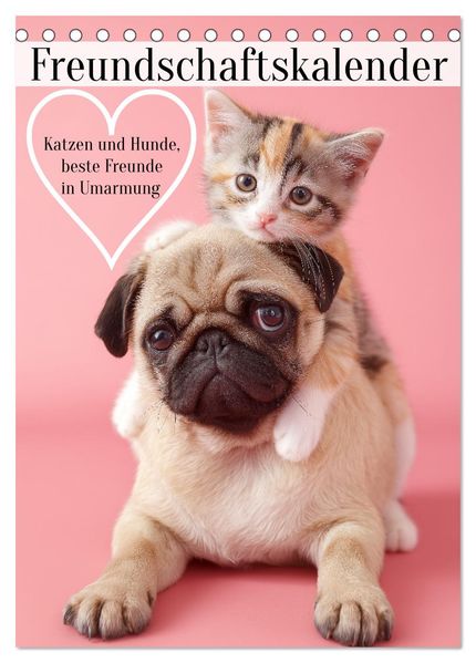 Freundschaftskalender - Katzen und Hunde beste Freunde in Umarmung (Tischkalender 2026 DIN A5 hoch) CALVENDO Monatskalender