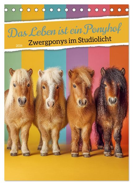 Das Leben ist ein Ponyhof - Zwergponys im Studiolicht (Tischkalender 2026 DIN A5 hoch) CALVENDO Monatskalender