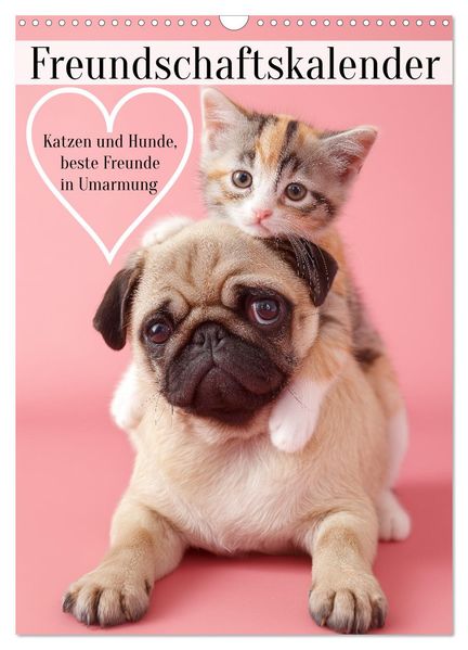 Freundschaftskalender - Katzen und Hunde beste Freunde in Umarmung (Wandkalender 2026 DIN A3 hoch) CALVENDO Monatskalender