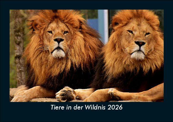 Tiere in der Wildnis 2026 Fotokalender DIN A5