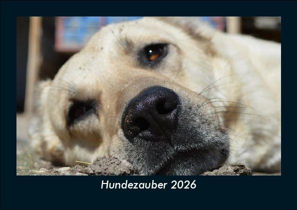 Hundezauber 2026 Fotokalender DIN A5