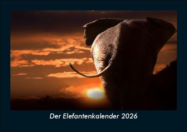 Der Elefantenkalender 2026 Fotokalender DIN A5