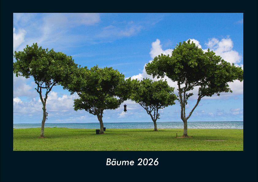 Bäume 2026 Fotokalender DIN A4