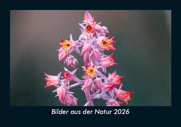Bilder aus der Natur 2026 Fotokalender DIN A5