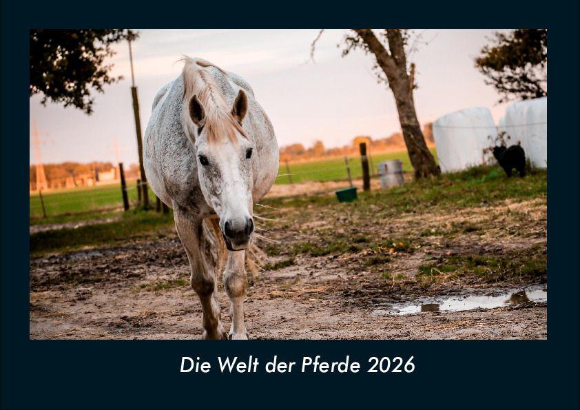 Die Welt der Pferde 2026 Fotokalender DIN A4