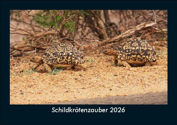 Schildkrötenzauber 2026 Fotokalender DIN A5