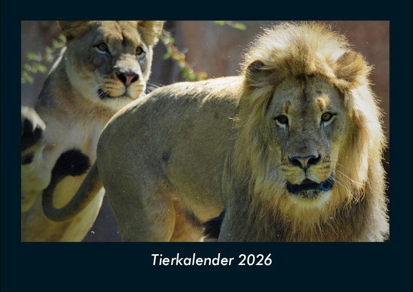 Tierkalender 2026 Fotokalender DIN A4