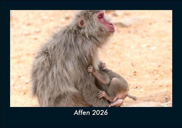 Affen 2026 Fotokalender DIN A5