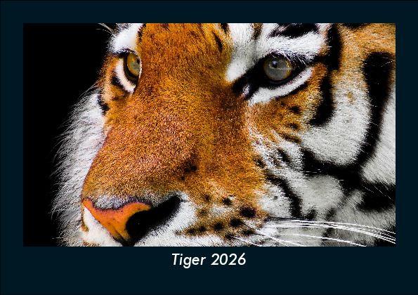 Tiger 2026 Fotokalender DIN A5