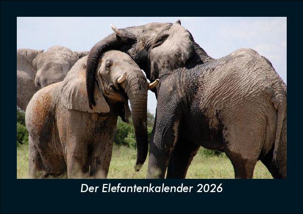 Der Elefantenkalender 2026 Fotokalender DIN A5