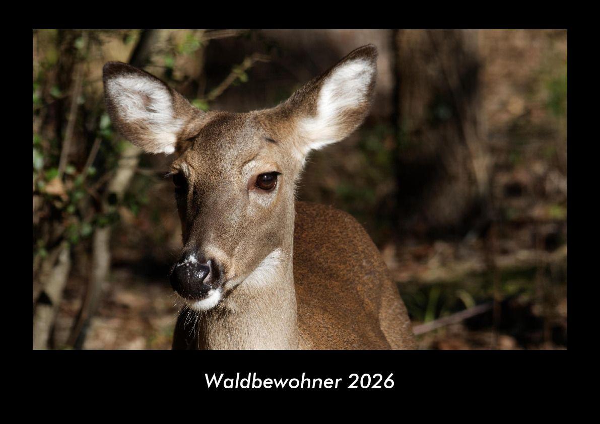 Waldbewohner 2026 Fotokalender DIN A3