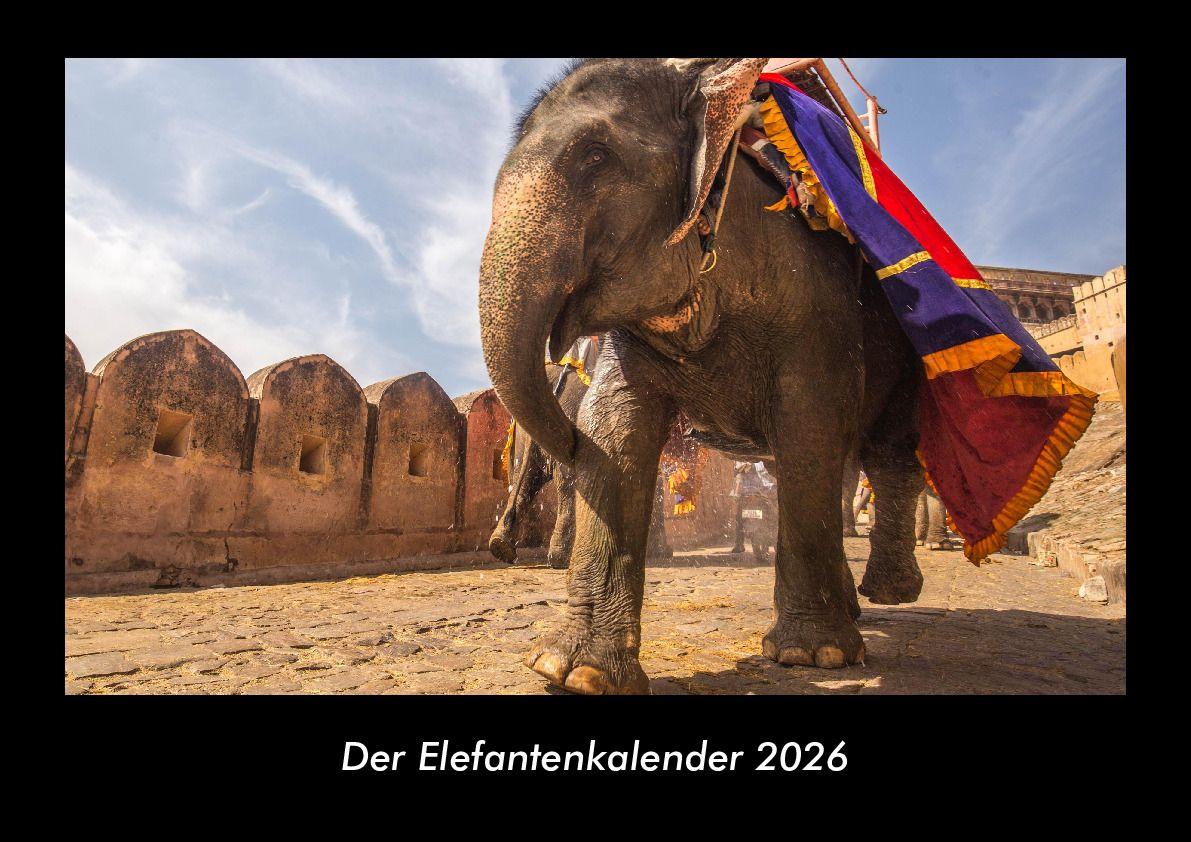 Der Elefantenkalender 2026 Fotokalender DIN A3