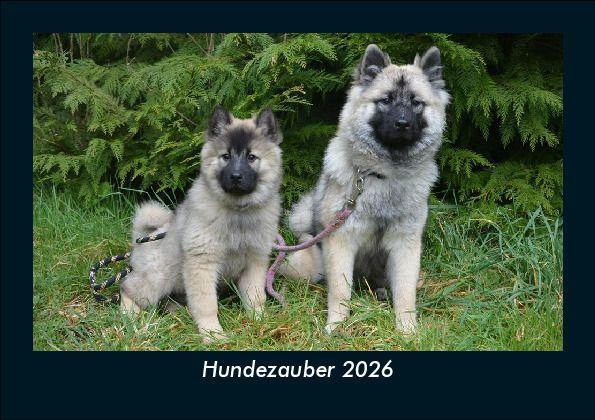 Hundezauber 2026 Fotokalender DIN A5