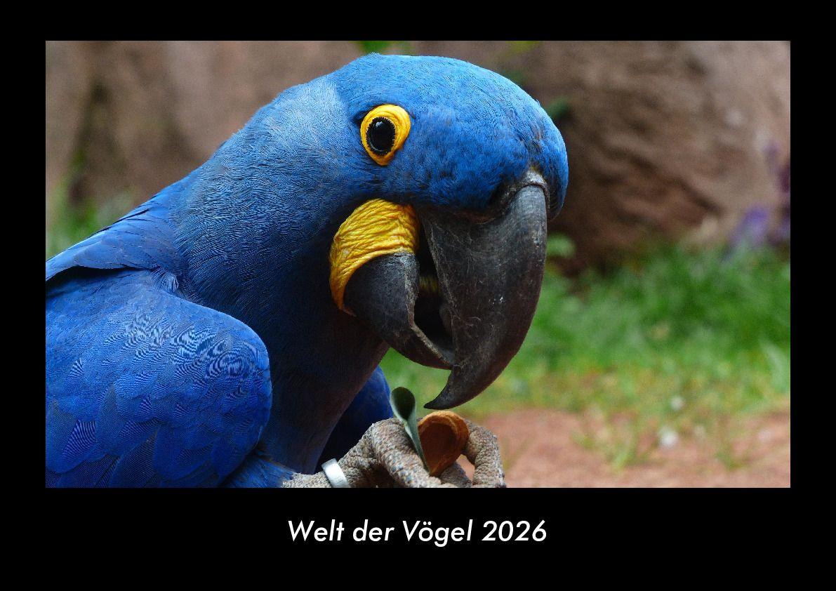 Welt der Vögel 2026 Fotokalender DIN A3