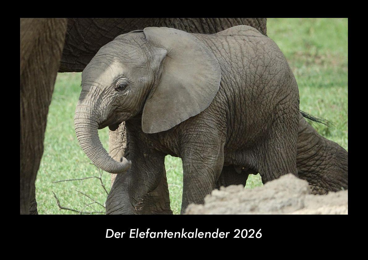 Der Elefantenkalender 2026 Fotokalender DIN A3