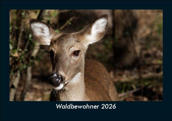 Waldbewohner 2026 Fotokalender DIN A5