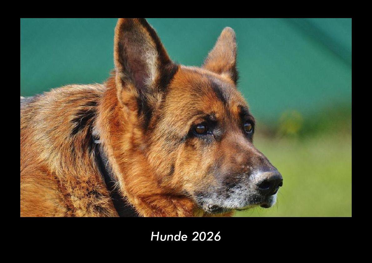 Hunde 2026 Fotokalender DIN A3