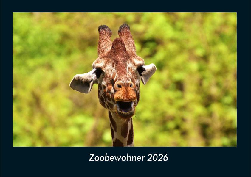 Zoobewohner 2026 Fotokalender DIN A4