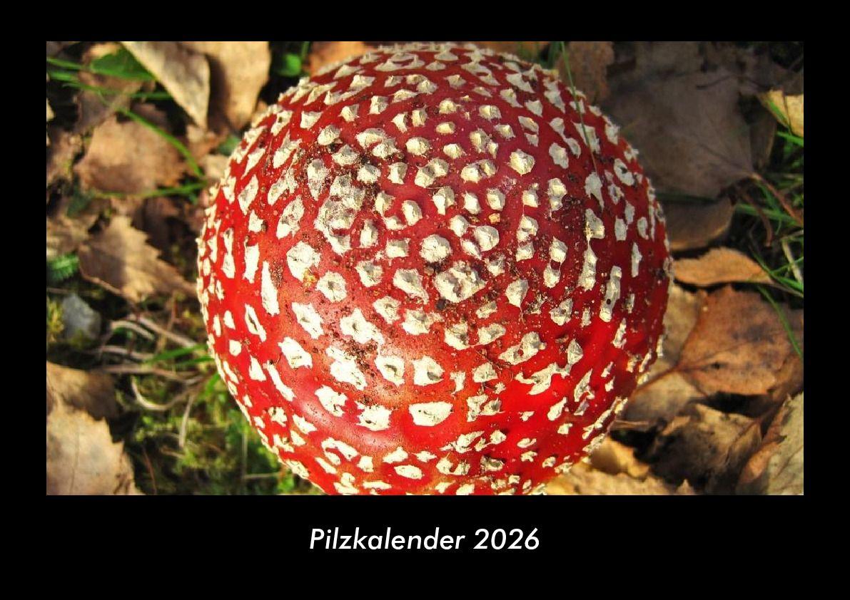 Pilzkalender 2026 Fotokalender DIN A3