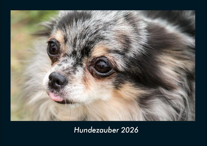 Hundezauber 2026 Fotokalender DIN A4