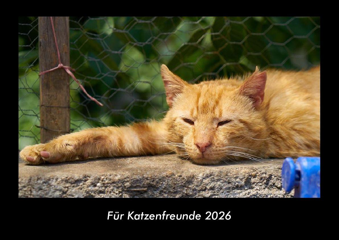 Für Katzenfreunde 2026 Fotokalender DIN A3