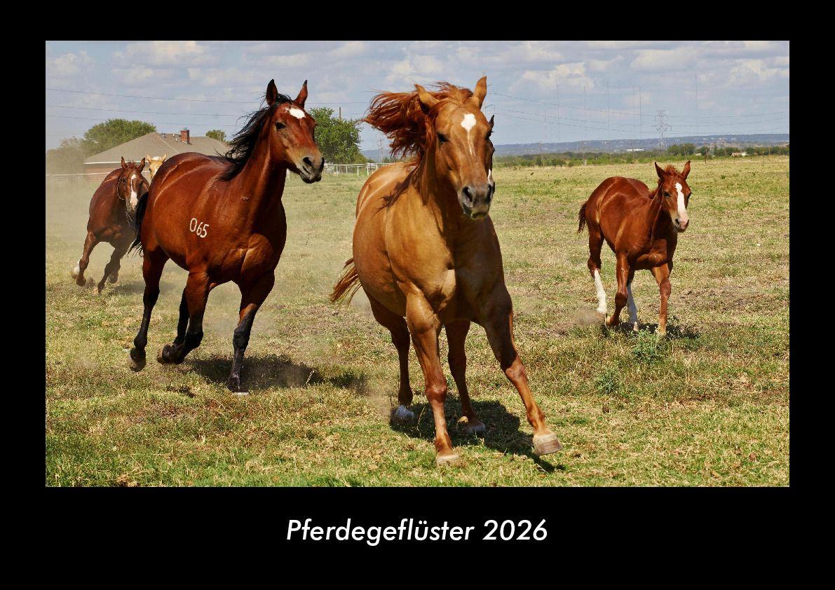 Pferdegeflüster 2026 Fotokalender DIN A3