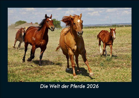Die Welt der Pferde 2026 Fotokalender DIN A5