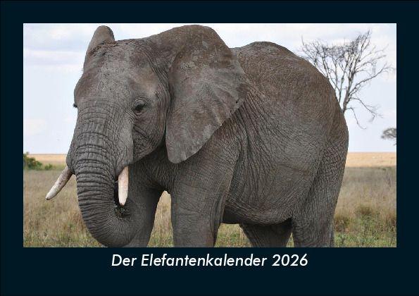 Der Elefantenkalender 2026 Fotokalender DIN A5