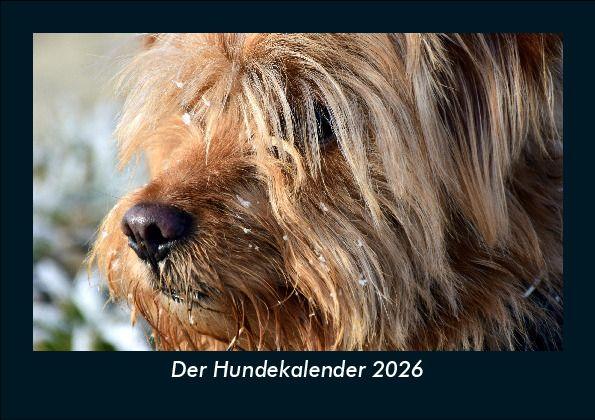 Der Hundekalender 2026 Fotokalender DIN A5
