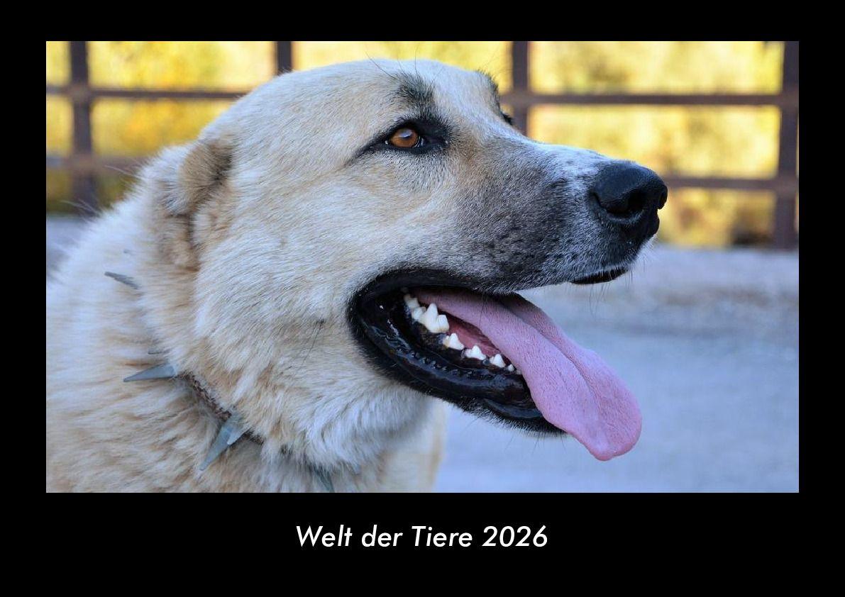 Welt der Tiere 2026 Fotokalender DIN A3
