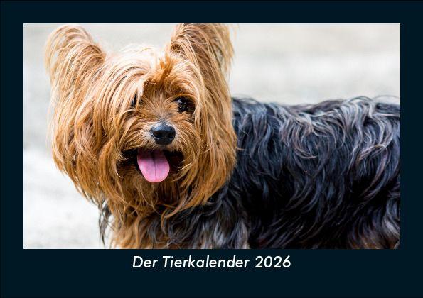 Der Tierkalender 2026 Fotokalender DIN A5