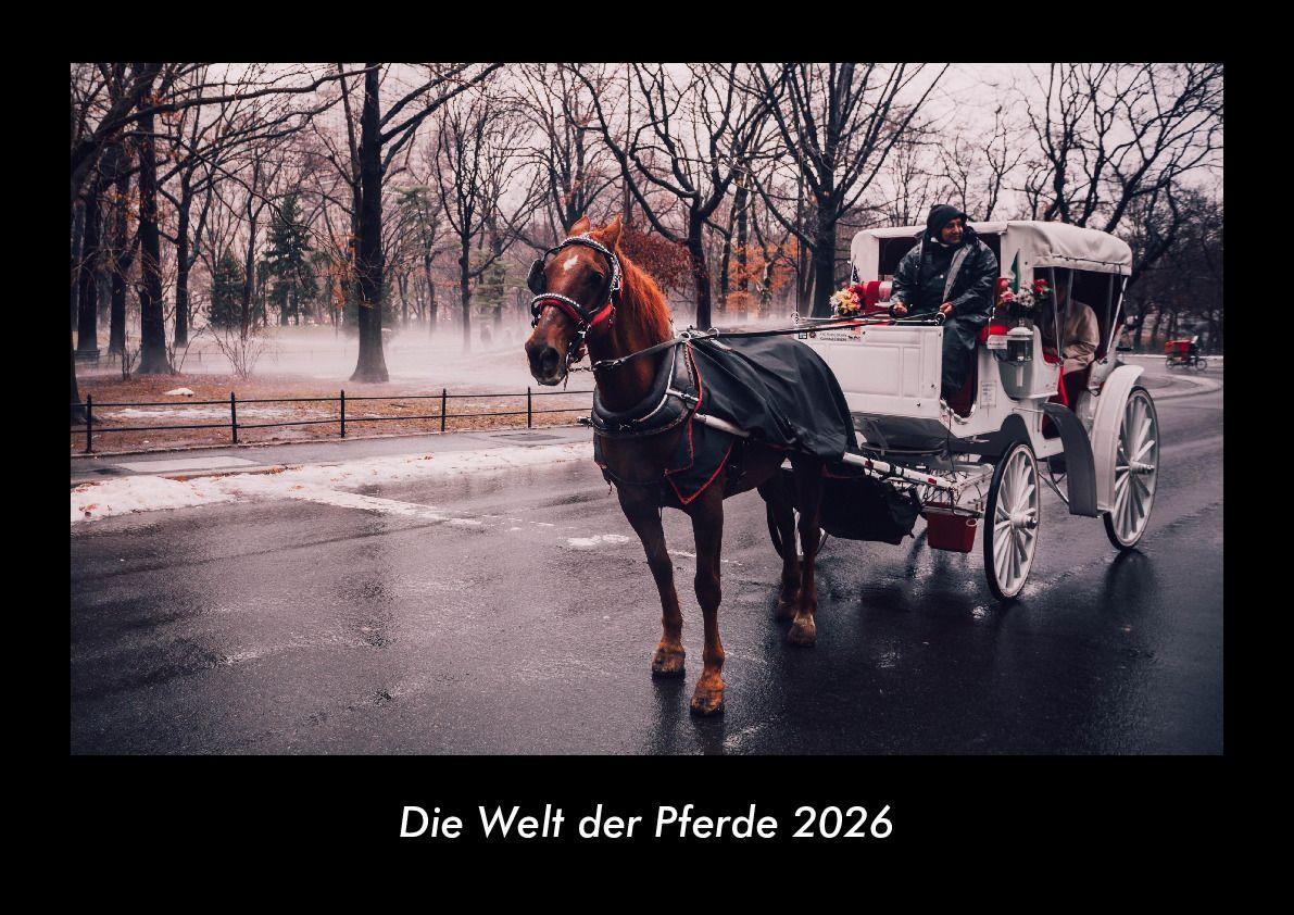 Die Welt der Pferde 2026 Fotokalender DIN A3