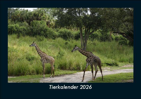 Tierkalender 2026 Fotokalender DIN A5