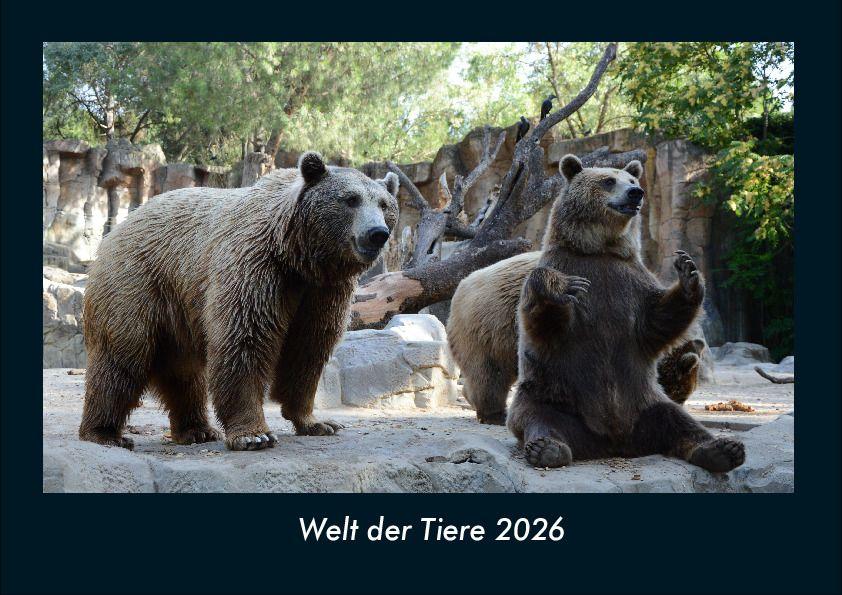 Welt der Tiere 2026 Fotokalender DIN A4