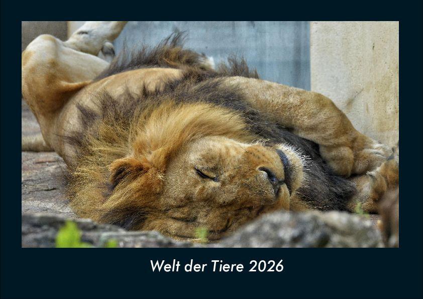Welt der Tiere 2026 Fotokalender DIN A4