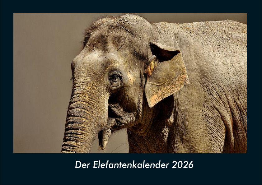 Der Elefantenkalender 2026 Fotokalender DIN A4