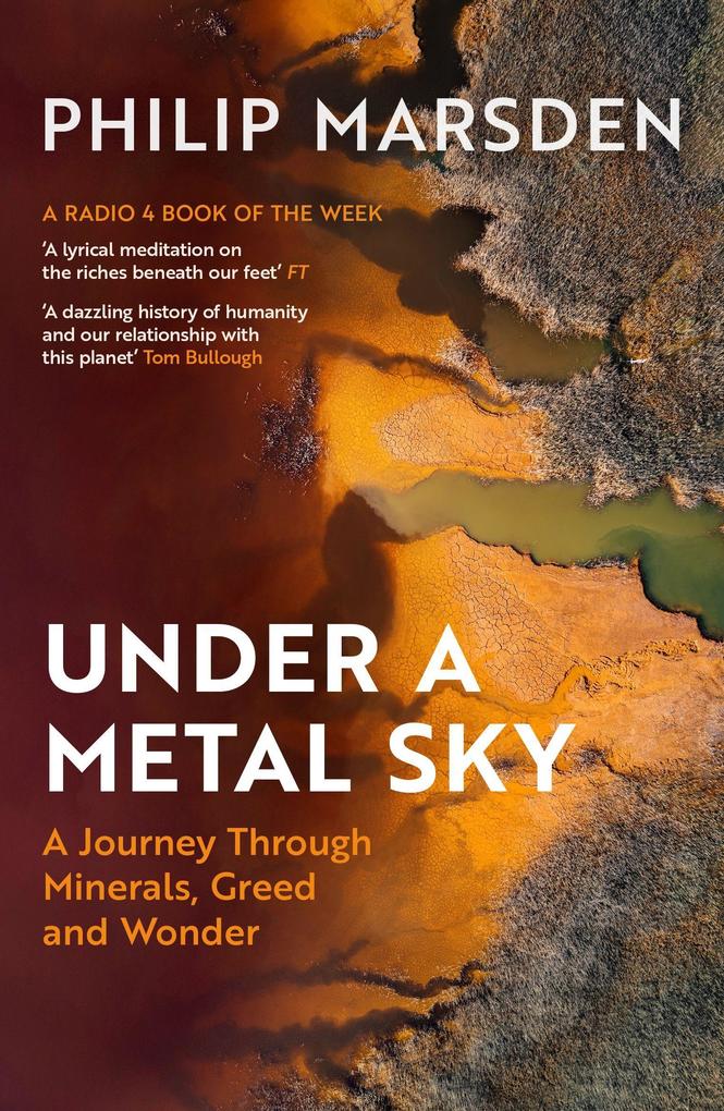 Under a Metal Sky