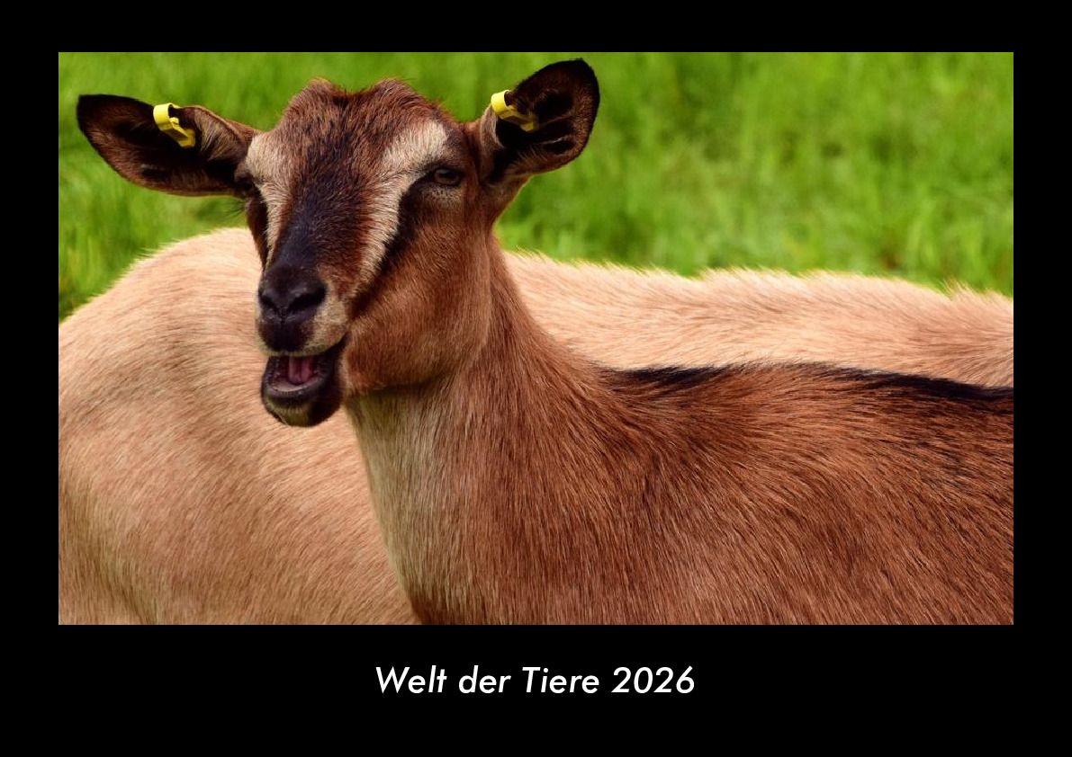 Welt der Tiere 2026 Fotokalender DIN A3