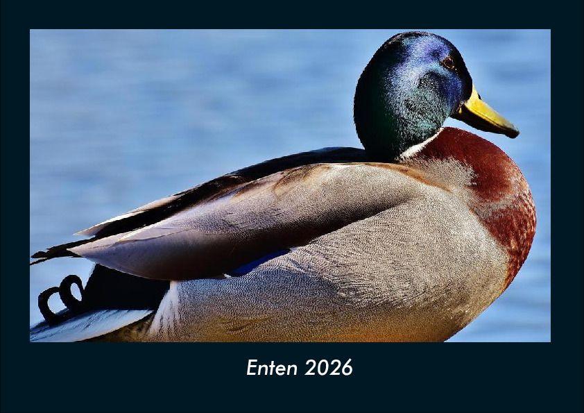 Enten 2026 Fotokalender DIN A4