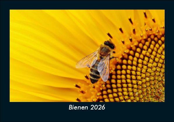 Bienen 2026 Fotokalender DIN A5