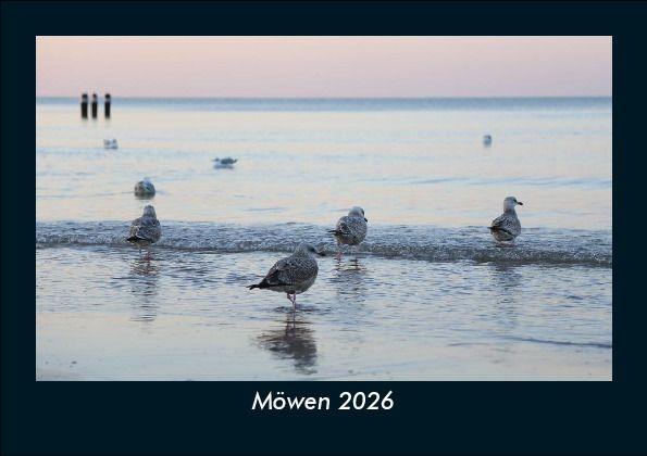 Möwen 2026 Fotokalender DIN A5