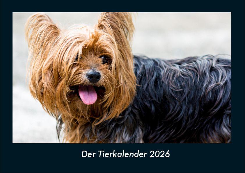 Der Tierkalender 2026 Fotokalender DIN A4