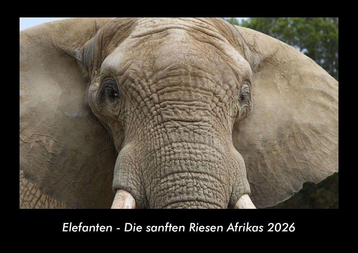 Elefanten - Die sanften Riesen Afrikas 2026 Fotokalender DIN A3