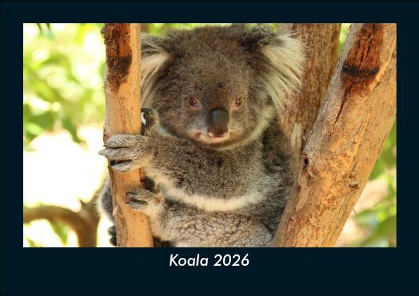 Koala 2026 Fotokalender DIN A5
