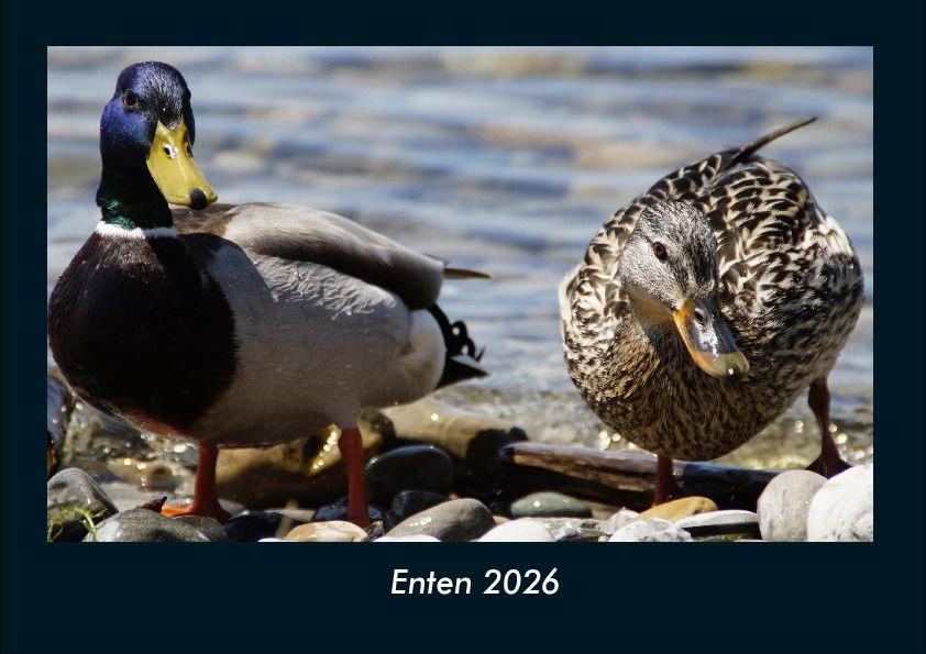 Enten 2026 Fotokalender DIN A4
