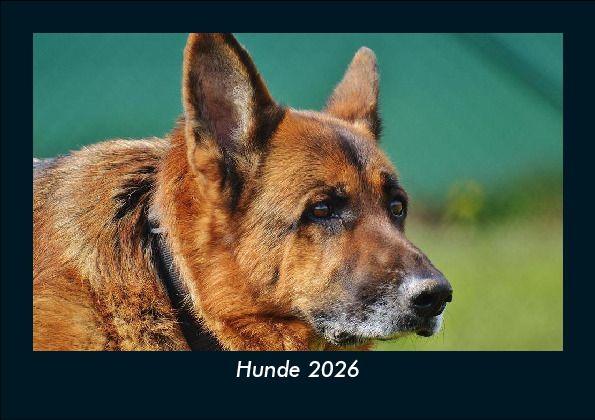 Hunde 2026 Fotokalender DIN A5