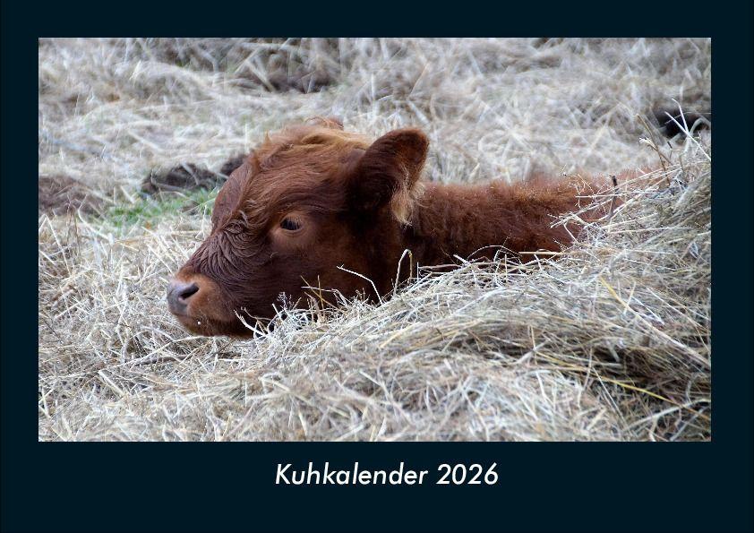 Kuhkalender 2026 Fotokalender DIN A4