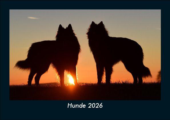 Hunde 2026 Fotokalender DIN A5