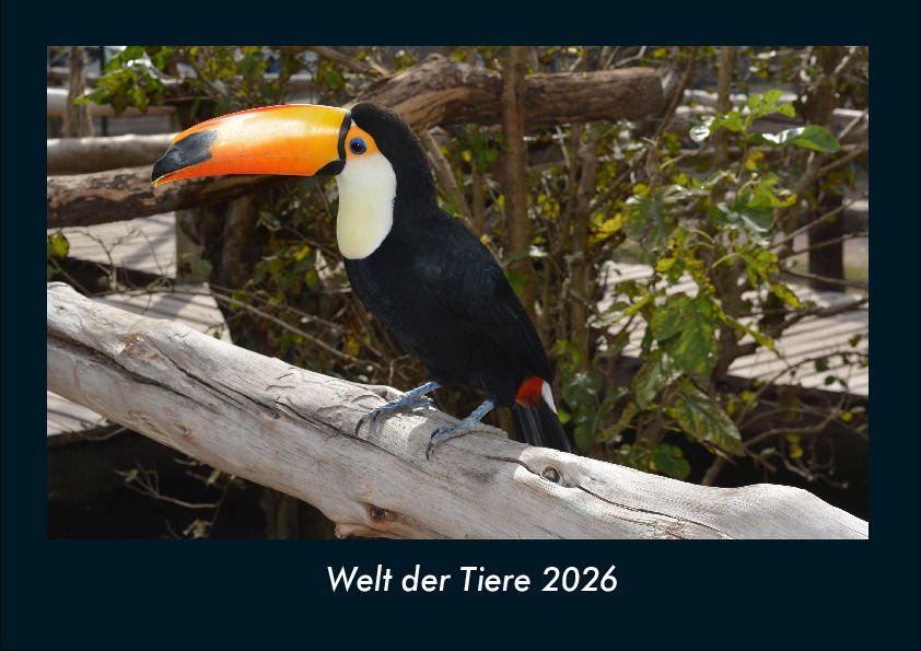 Welt der Tiere 2026 Fotokalender DIN A4