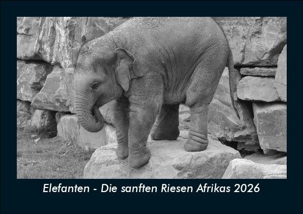 Elefanten - Die sanften Riesen Afrikas 2026 Fotokalender DIN A5